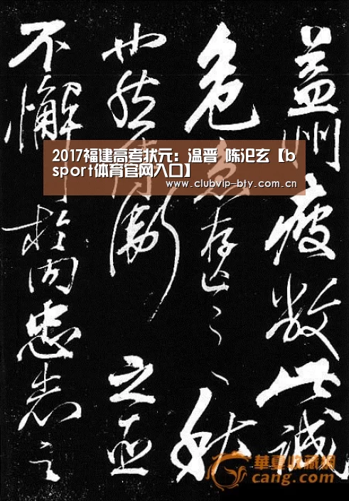bsport体育官网入口